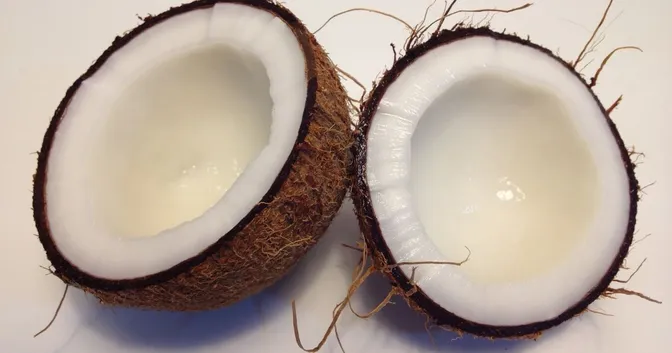 Two halfs of a split coconut showing the dark shell outside and the white flesh inside.